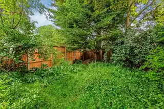 27 Langham Road, photo 3