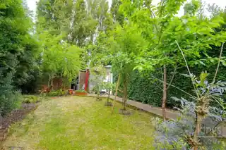 459 Alma Road, photo 2