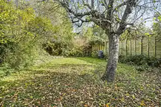 49 Elm Walk, photo 2