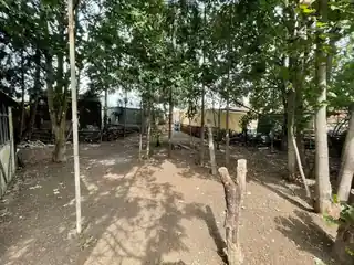 52 Myra Street, photo 2