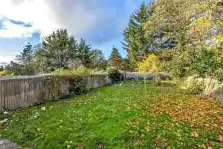 53 Whitchurch Avenue, photo 4